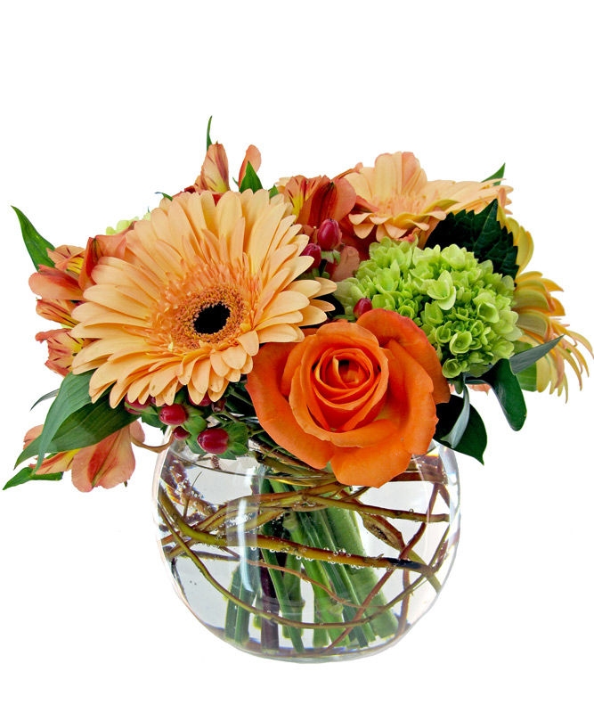 Flowers For Friendship Week Rose Hill Florist Rose Hill Florist