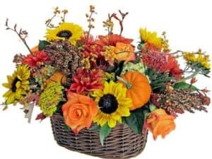 Rich autumn tones in a willow basket. Bittersweet berries woven though tangerine roses, millet, yarrow, mini pumpkins and dahlias.