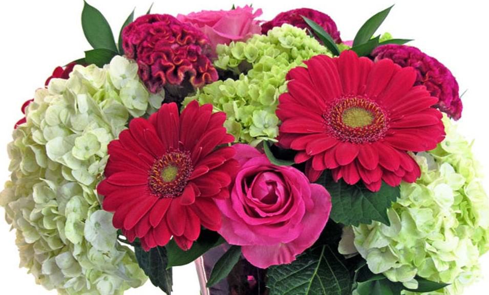A beautiful cluster of roses, hydrangea, gerbera daisies and other spring flowers will make this your personal favorite.