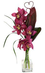 magenta colored orchids in vase