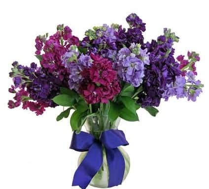 This vase of beautiful flowers features various colors of stock. Sure to brighten someone's day!