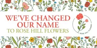 Rose-Hill—New-Name—Blog-2