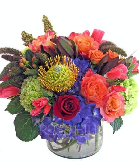 Jewel tones dazzle in a clear glass cylinder. Pincushion protea, green and blue hydrangea,  and red and tangerine roses* are accented with seasonal grasses. 